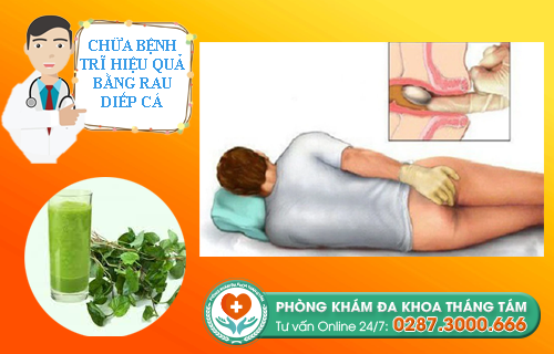 Rau diếp cá chữa bệnh trĩ