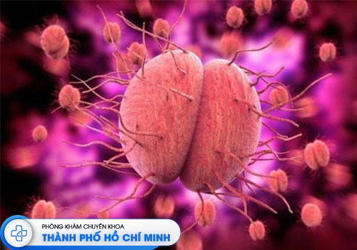 top-10-dia-chi-kham-va-dieu-tri-benh-lau-tot-tphcm